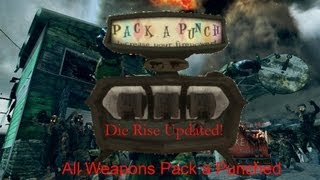 Black Ops 2 Zombies  All Weapons Pack A Punched Die Rise Updated [upl. by Sulecram]