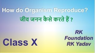 How do Organisms Reproduce Class 10 Science [upl. by Anaej373]