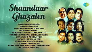 Shaandaar Ghazalen  Jagjit Singh  Ghulam Ali  Lata Mangeshkar  Old Ghazals  Ghazal [upl. by Gnoy]