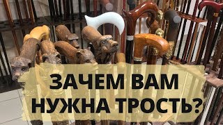 Какие трости бывают и для чего мне трость [upl. by Ranger]