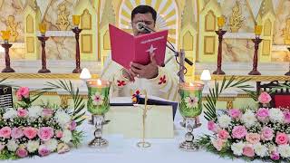 Holy Mass August 14 Wednesday 530 AM I Malayalam I Syro Malabar I Fr Bineesh Augustine [upl. by Seigel]