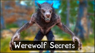 Skyrim 5 Things They Never Told You About Werewolves [upl. by Harod]