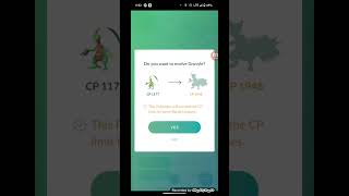 Treecko Grovyle Sceptile The FULL GrassType Evolution Showcase in Pokemon GO shorts [upl. by Brinkema]