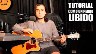 TUTORIAL28 l Libido  Como Un Perro TUTORIAL GUITARRA l ACORDES Gabo DG [upl. by Analrahc197]