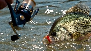 9 Killer Crappie Lakes in the Upper Midwest [upl. by Mozart]