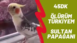 Sultan Papağanı Ölürüm Türkiyem 45 Dk Reklamsız uzunluğunda [upl. by Akerue]