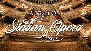 A Night of Italian Opera [upl. by Ainolopa]