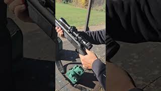 cva scout 450 bushmaster usa singleshot illinois deerhunting shorts guns rifle [upl. by Gluck681]