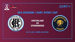 Hinterland vs Springwood Mens Div 1 AFL Rd 13 13th July [upl. by Aenel]