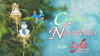 ¡CUMBIAS NAVIDEÑAS EXITOS GRANDES MIX DICIEMBRE 2020 [upl. by Ayanad]