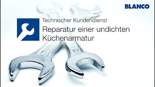 Reparatur einer undichten Küchenarmatur  BLANCO [upl. by Ynnattirb]