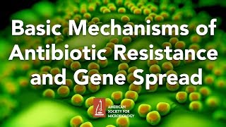 Basic Mechanisms of Antibiotic Resistance and Gene Spread by Marilyn Roberts PhD [upl. by Nagah]