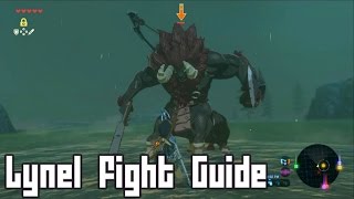 Fight This Boss DONT RUN Easy Battle Lynel  Zelda Breath of the Wild [upl. by Harp964]