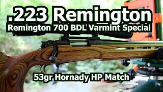 Remington 700 BDL Varmint Special  223 Rem [upl. by Lednem]