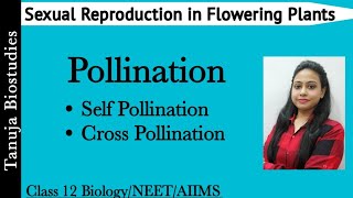 Sexual Reproduction in Flowering Plants  Pollination  Self Vs Cross Pollination  Class 12NEET [upl. by Nelyahs465]