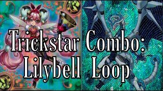 Trickstar Combo Firewall Dragon  Lilybell OTK [upl. by Orgel]