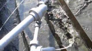 Envirodyne Systems Algae Spray Cleaning System [upl. by Arakawa]