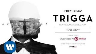 Trey Songz  Sneaky TARGET Bonus Track Official Audio [upl. by Hyacinthie]