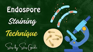 Endospore Staining Technique  A StepbyStep Guide [upl. by Imoian]