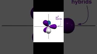 CARBONATION ANIMATION [upl. by Lionello]