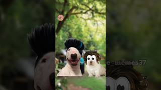 Share with your friends 🤣😜 shortvideo cheemstamizh funny perro tamilshorts [upl. by Abrahamsen162]