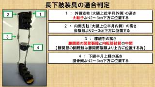 長下肢装具の適合判定と適応疾患 ～No22 理学療法士国家試験対策 シリーズ～ [upl. by Nospmoht213]