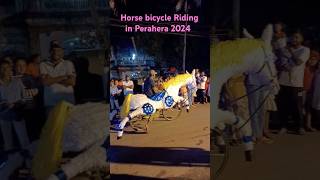 Horse Bicycle Ride in the Perahera 2024 Part9👍😍🥰 [upl. by Anatsirhc]