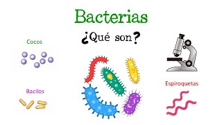 🦠 ¿Qué son las Bacterias 🦠 Fácil y Rápido  BIOLOGÍA [upl. by Nylrahc231]