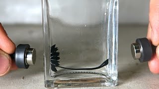 Ferrofluid in a Bottle  Science Experiment [upl. by Kellie309]