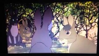 Watership down 1978 clip 6 bigwig meets general woundwort [upl. by Aisor]