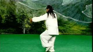 Wudang Three Treasures Taiji Part 3 Master Wang Ping [upl. by Elva]