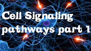 Cell Signaling Pathways part 1 [upl. by Plerre]