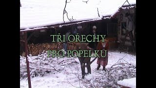 Tři ořechy pro Popelku [upl. by Nodnelg]