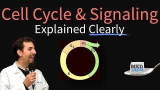 Cell Cycle Cell Signaling and Disease Explained Clearly [upl. by Gnaig]