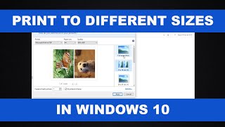 How to Print Photos in Different Sizes in Windows 10 [upl. by Nacim100]