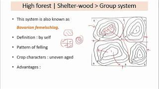 23 RPSCACF 2020  Silviculture system 2 [upl. by Auqinihs]