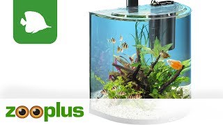 Tetra AquaArt Explorer Line Halfmoon  zooplus [upl. by Rothschild]