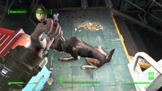 Fallout 4 Vault 75 Admin Key Map Location amp footage of how to get the key [upl. by Anatole]