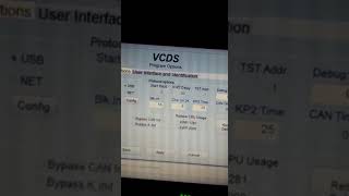 VCDS hex online update problem license revoked [upl. by Ellives901]