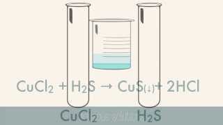 Reactions in Aqueous Solutions [upl. by Silva510]