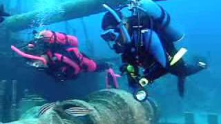 PADI Scuba Diving Lessons PADI Wreck Diver Course [upl. by Budd]