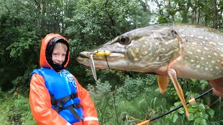 Northern Pike Fishing Catch Clean amp Cook in Alaska  these Pike are full of LEECHES [upl. by Yllib809]