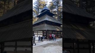 Honeymoon Day 3 honeymoon dailyshorts viral viralshorts daily manali travel manalitrip love [upl. by Wimsatt154]