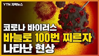 자막뉴스 코로나바이러스 바늘로 100번 찌르자 나타난 현상  YTN [upl. by Ayatal]