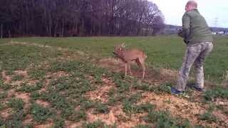 Rehbockrettung  Jäger hilft Wild in der Not [upl. by Anomas]