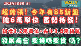 超誇張！2025年，85個新盤＋6萬單位來襲，樓市壓力再升溫！發展商或進入「要錢唔要貨」時代｜邊個揸最多貨揸幾多貨？樓價將迎新一輪調整？ [upl. by Launam]