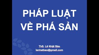 PHÁP LUẬT VỀ PHÁ SẢN Phần 1 [upl. by Rybma]