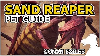 SAND REAPER  Pets Guide  CONAN EXILES [upl. by Winifred]