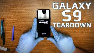 Samsung Galaxy S9 Teardown  Battery Repair  Screen Replacement [upl. by Merissa]