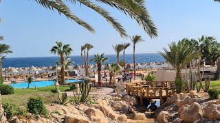 Parrotel Beach Resort Hotel  Full Review  Sharm El Sheikh  Egypt [upl. by Marne]